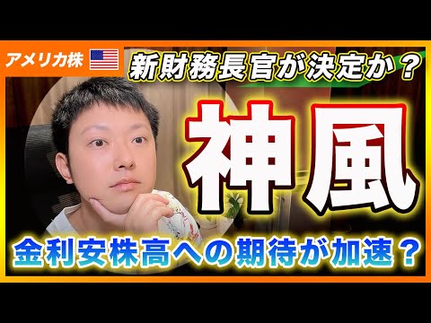 【新財務長官】債券金利安で株高に期待か？トランプ銘柄は大荒れに注意？テーマに影響されない優良銘柄を紹介！【アメリカ株・Nasdaq・SP500・DJI】