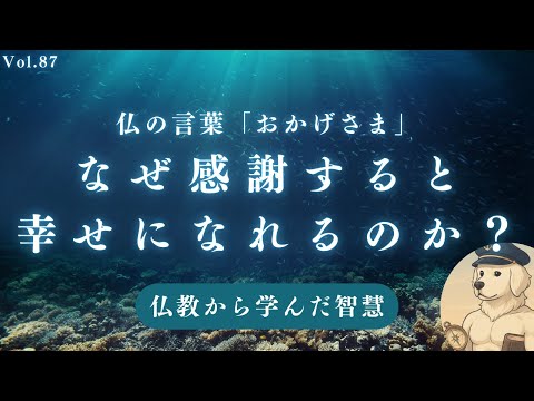 【仏教】「ありがとう」の本当の意味と活用法とは？#87