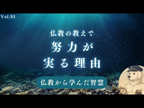 【仏教】 仏教を学ぶと努力が実る理由#９１